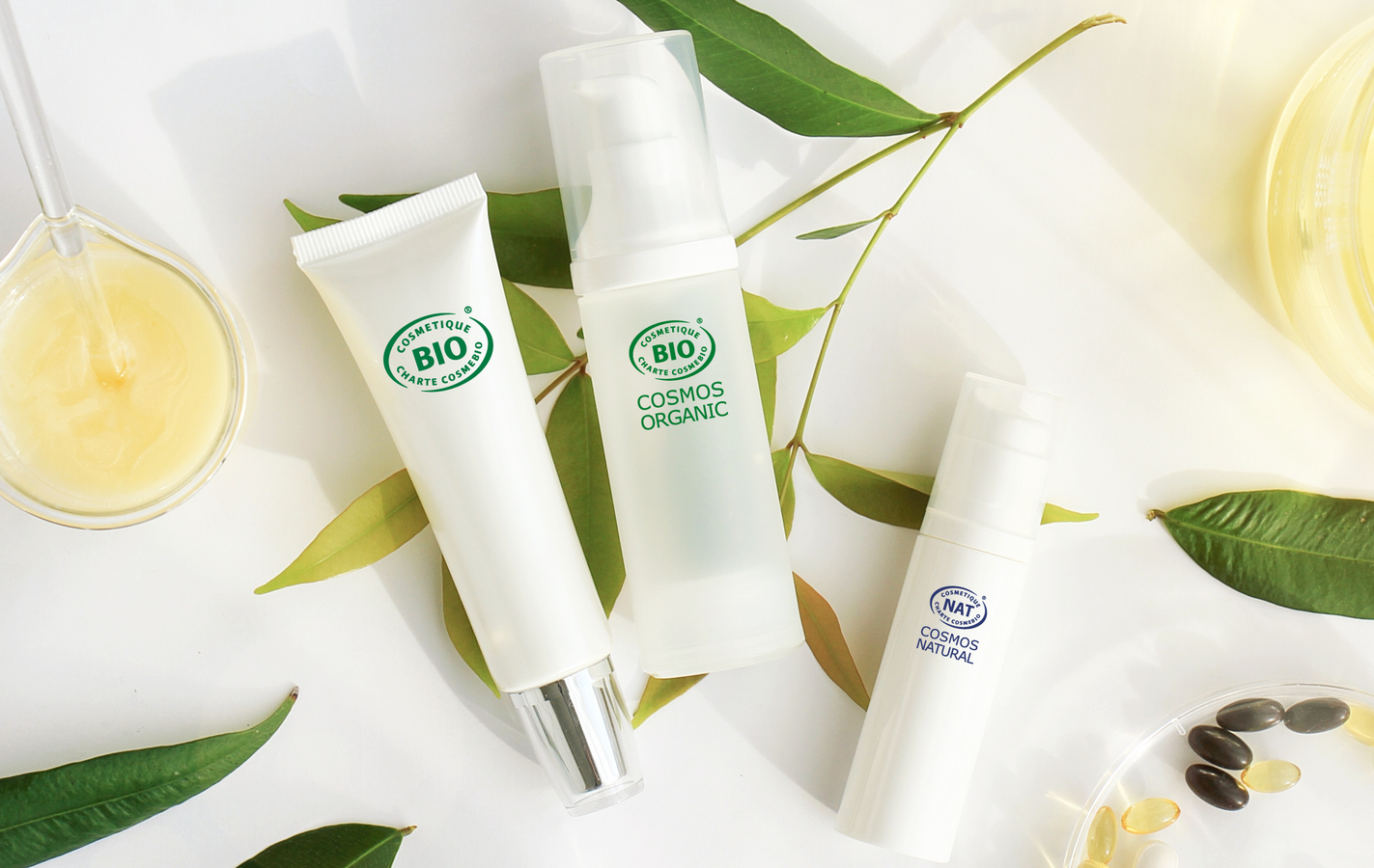 Certification biologique : pourquoi ? comment ? combien ?