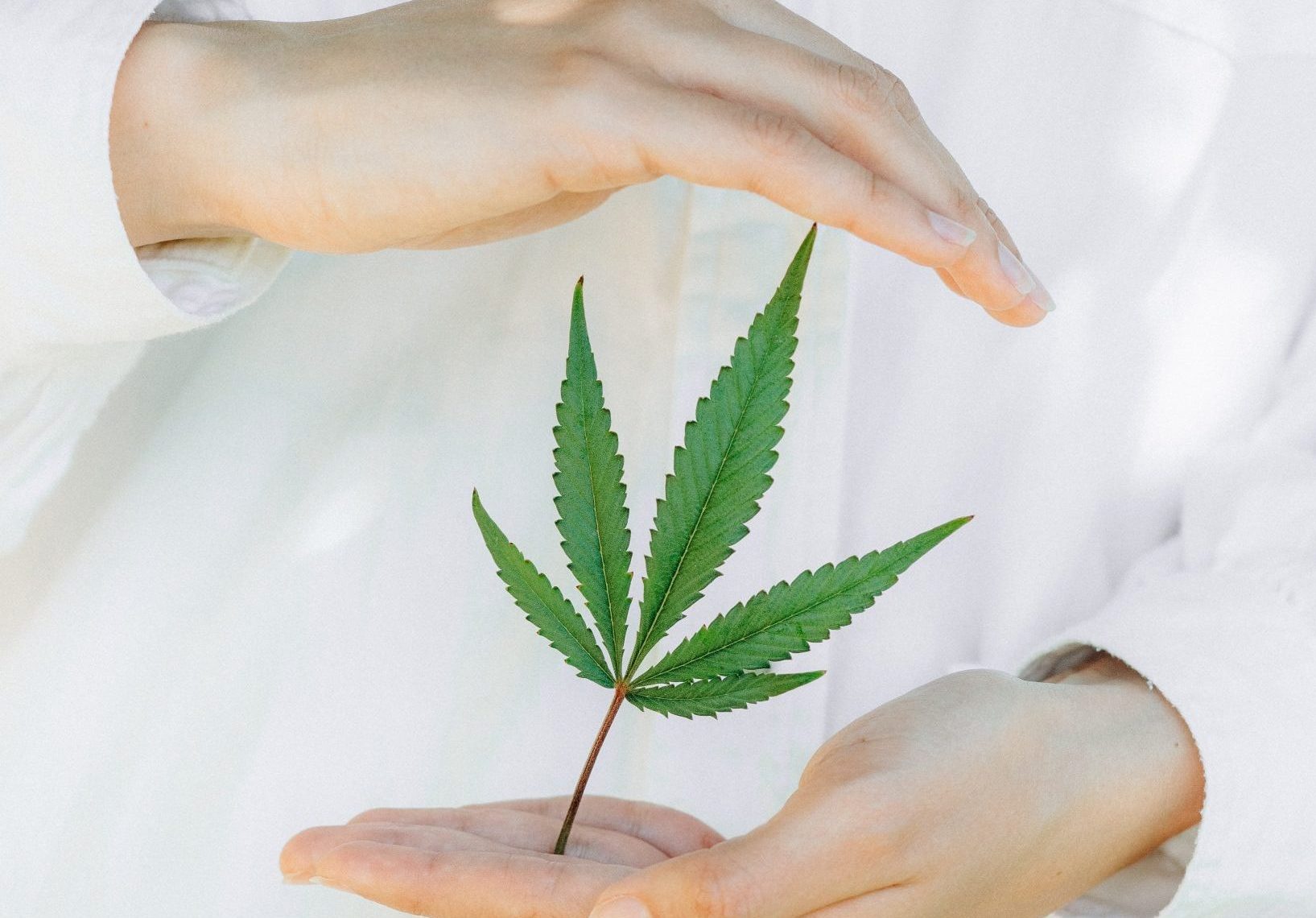 Huiles CBD Marque Blanche : Les 4 points à vérifier pour choisir le bon fournisseur